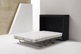 Wally  Wall Bed
