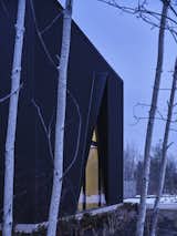 Exterior, Flat RoofLine, Wood Siding Material, Cabin Building Type, and House Building Type Feline / Elevation  Photo 3 of 17 in Feline by Atelier RZLBD
