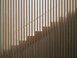 Staircase, Wood Railing, and Wood Tread Feline / Staircase  Photo 7 of 17 in Feline by Atelier RZLBD