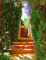 A charming brick pathway leads to the backyard.