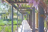 Wisteria-covered porticos offer balance between the natural and built environment.