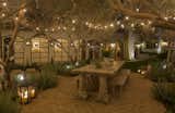 A romantic al fresco dining area surrounded by imported olive trees and bistro lights. 
