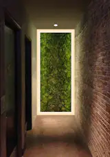 TruLine TruQuad LED System illuminates this vertical living wall 