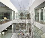  Photo 11 of 43 in Harmonia by Yas. Maeda/M-architects