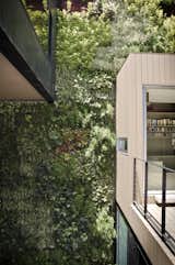 Vertical Garden at the Patio