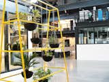 Plant life figures heavily in New Lab's overall design, thanks to an abundance of natural light..