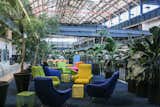 Green lounges for miles. 