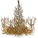 Available on viyet.com!

Chandelier

https://viyet.com/custom-chandelier-lig-20220-10806.html
