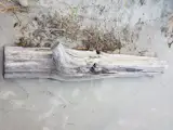 Driftwood Creature
