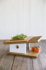 The Sunset Modern birdhouse designed by Douglas Barnhard. This Eichler-inspired birdhouse features bamboo and teak paired with orange and white laminate. The "green roof" and removable planter boxes are perfect for succulents.