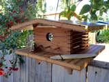The Kauai House is the perfect bird feeder to put at a beach house or as a year-round reminder of your passion for surfing.