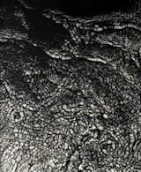 Lynda Laird, Comharradh III

http://www.telegramgallery.com/lynda-laird/