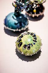 Nora Kovats' Herbariums