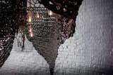 'Molecular' by Ashlee Ainsley Lloyd