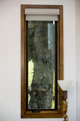 Calder - Interior 7 - Tree Framed in Living Room