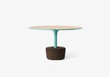 Flora Wide Tall

FLORA is a set of coffee tables that refers to the plants we offer to the ones we love, so there is a similarity between taking care of plants and taking care of the objects. These versatile tables combine natural materials, with four sizes and six different colored frame finishes and may be used separately or together.

Size 
Ø65 x H38 cm / Ø25,6’’ x H15’’.

Weight 
5,8 kg / 12,8 lbs.  Photo 2 of 32 in Floras by DAM