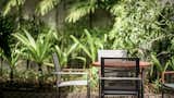 5 Ways To Update Your Garden In The New Year