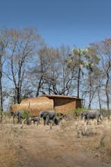  Photo 2 of 13 in Eco-Friendly Safari Lodge in Africa's Okavango Delta