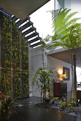 Sofa, Front Yard, Dark Hardwood Floor, Trees, Ceiling Lighting, Staircase, and Wood Patio, Porch, Deck  Photo 3 of 6 in stairs with metal bar by christine clements from This Modern Home in Singapore Is a Living Urban Jungle