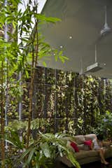 This Modern Home in Singapore Is a Living Urban Jungle - Photo 6 of 12 - 