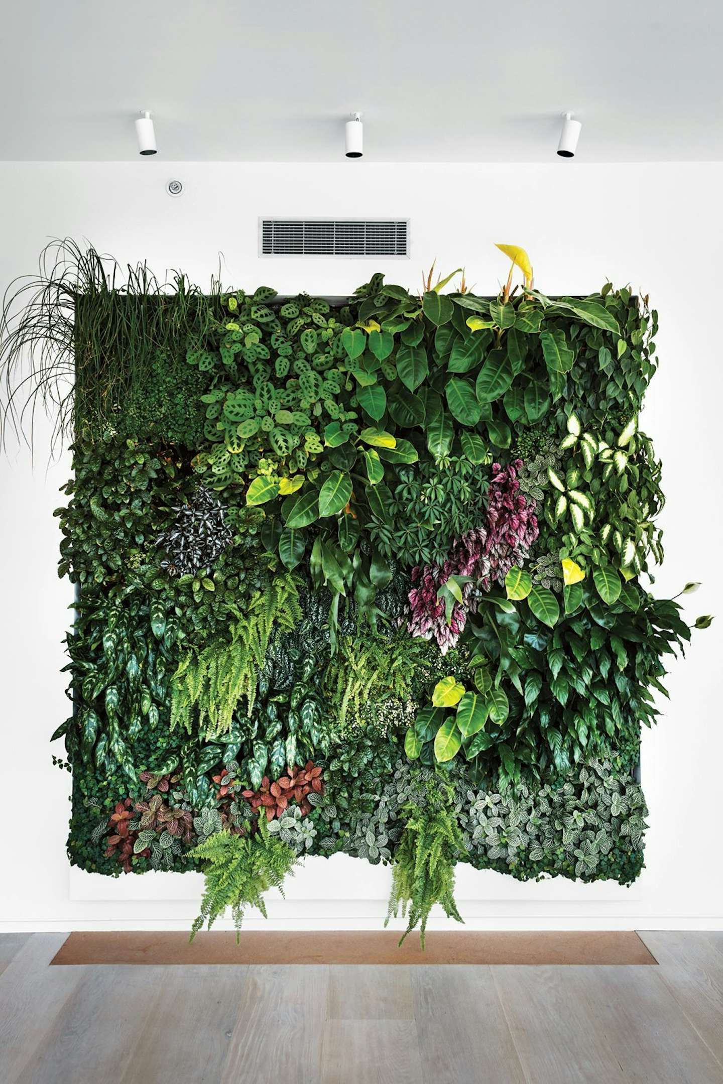 Photo 5 of 10 in 10 Ways to Create an Uplifting Vertical Garden - Dwell