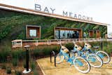 Measuring 86 feet in length, the vertical garden at Bay Meadow's Welcome Center in San Mateo, San Francisco was designed by CMG Landscape Architecture with plants selected for their ability to promote the ecological health of the surrounding area.