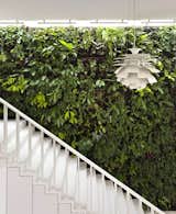 This house, aptly named “The Gardener” by Singapore practice Park+Associates Architects has a green wall covered in plants next to the staircase that leads up from the ground to the upper level of the house.  Photo 1 of 235 in Landscape by Casey Tiedman from 10 Ways to Create an Uplifting Vertical Garden