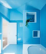 Bath Room, Porcelain Tile Floor, Drop In Tub, and Ceramic Tile Wall  Photo 8 of 15 in Best Bathrooms by Dwell from This 1930s Bungalow in Sydney Was Preserved in the Front and Updated in the Back
