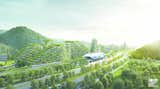 Photo 4 of 6 in A Green City in China That Will Play a Major Role in Fighting Air Pollution