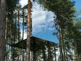 Six designers got together to create the 13-by-13-foot Mirrorcube in Treehotel in Harad, Sweden. The structure is made up of a reflective glass cube that's built around the trunk of a pine tree, which blends beautifully into the surrounding forest.&nbsp;