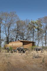 Designed by Michaelis Boyd Associates in collaboration with Nicholas Plewman Architects, Sandibe Okavango Safari Lodge in Botswana’s Okavango Delta has 12 nest-shaped guest suites with cedar-shingle exteriors inspired by the shell of pangolins and the nests of weaver finches.
