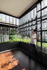 102 Potted Olive Plants Cover the Facade of This Bangkok Home - Photo 7 of 11 - 