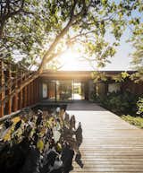 Exterior, House Building Type, Flat RoofLine, and Wood Siding Material  Photos from A Brazilian Home With a Touch of Japanese Zen