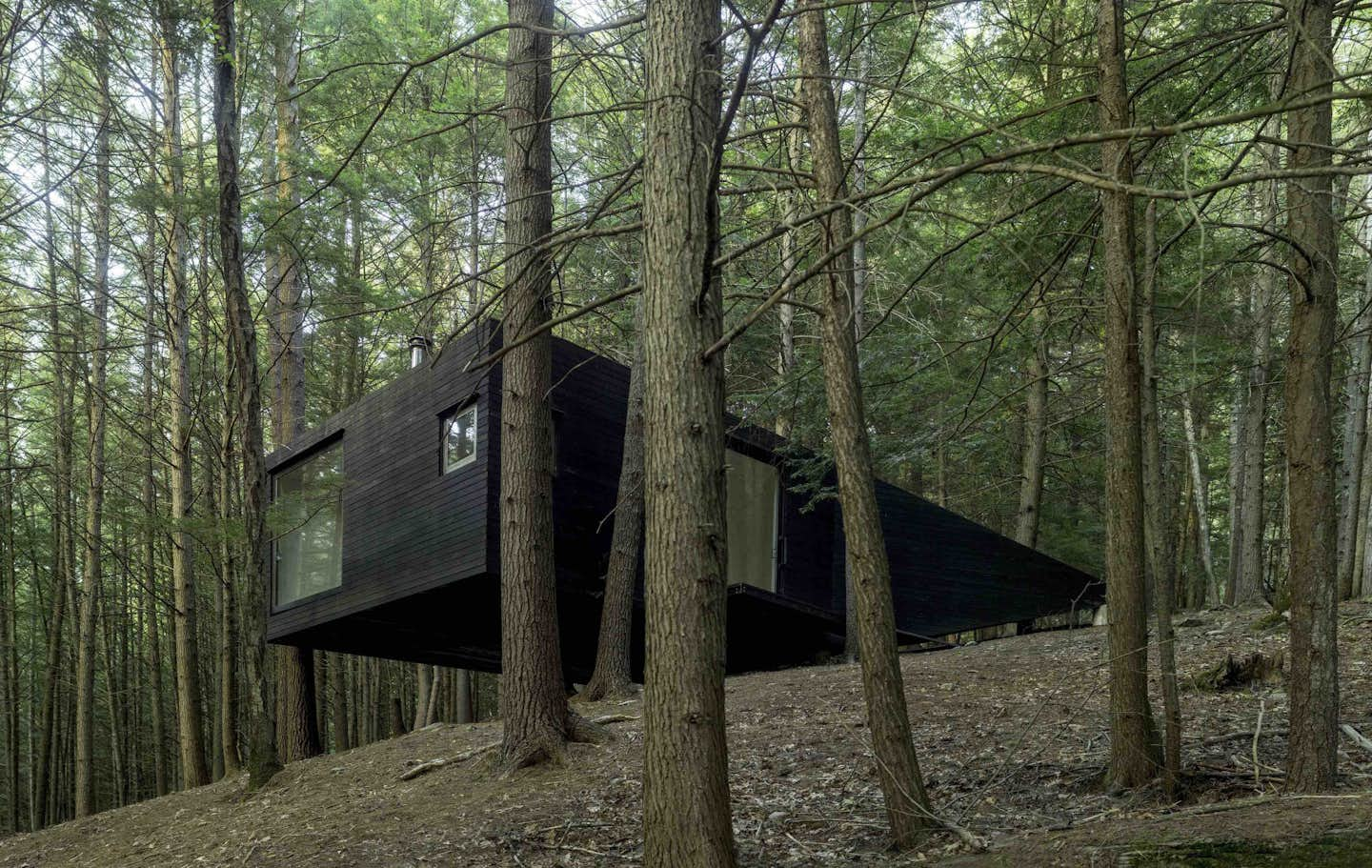 15 Black Cabins That Make the Case for Dark Exteriors - Dwell