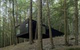 This remote cabin in Sullivan County hovers above a steep slope, suspended by the trees that surround it.