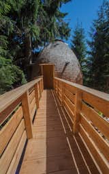 Outdoor, Trees, Walkways, Woodland, Decking Patio, Porch, Deck, Wood Patio, Porch, Deck, Horizontal Fences, Wall, and Wood Fences, Wall  Photo 8 of 12 in These Tree Houses in the Dolomites Look Like Egg-Shaped Pinecones