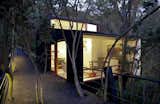 Exterior, House Building Type, and Wood Siding Material  Photos from A Little Chilean Tree House That's One With the Canopy
