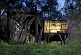 Exterior, House Building Type, and Wood Siding Material  Photo 6 of 10 in A Little Chilean Tree House That's One With the Canopy