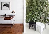Office, Study Room Type, Desk, and Medium Hardwood Floor  Photo 6 of 12 in This Renovated Pad in São Paulo's Iconic Lausanne Building Is a Breath of Fresh Air
