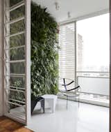 This Renovated Pad in São Paulo's Iconic Lausanne Building Is a Breath of Fresh Air - Photo 9 of 11 - 