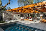 Outdoor, Walkways, Small Pools, Tubs, Shower, Grass, Back Yard, Trees, Concrete Patio, Porch, Deck, and Large Patio, Porch, Deck  Photo 1 of 11 in This Brilliant Brazilian Abode Was Designed Around an Imposing Tree