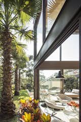 Outdoor, Back Yard, Grass, Gardens, Raised Planters, Trees, Large Pools, Tubs, Shower, Large Patio, Porch, Deck, and Wood Patio, Porch, Deck  Photo 12 of 13 in This Stunning Brazilian Residence Takes Cues From Mies van der Rohe