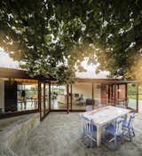 Outdoor, Front Yard, Concrete Patio, Porch, Deck, Trees, and Large Patio, Porch, Deck The tree seems to lean into the highly transparent living room, to become part of the space.  Photo 7 of 14 in A Bright Red Island Residence Embraces a Linden Tree