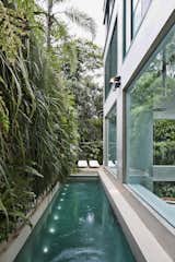 Outdoor, Gardens, Side Yard, Vertical Fences, Wall, Lap Pools, Tubs, Shower, Small Patio, Porch, Deck, Landscape Lighting, Large Pools, Tubs, Shower, and Shrubs The narrow, elongated pool with a vertical green wall can be seen from inside the apartment.
  Photo 4 of 17 in A Mesmerizing Pool Dominates This Brazilian Home