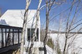 The sheet metal roof and wood cladding of the new structure complements the smooth, shiny birch tree barks on the site.