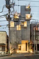 The result is a low-rise residential complex with features that correspond to the trunk, branches, and leaves of trees, which served as Hirata's main source of design inspiration.