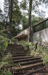Staircase and Wood Tread A single roof connects the concrete volumes. 

  Photos from A Modern Home Embraces Nature With a Unique L-Shaped Design