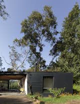 While the house was painted black to help it blend in with the landscape, the shrub-covered roof is the more prominent part of the overall design due to the verdant green surroundings.