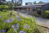 Outdoor, Shrubs, Grass, and Gardens Surrounded by plenty of spacious green gardens, the house was designed to protect its owners’ privacy.  Photos from Own This L.A. Midcentury by A. Quincy Jones For $2.45M