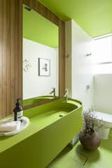 A green guest bathroom with a vanity designed by Pascali Semerjdian and wood panels by Plancus.